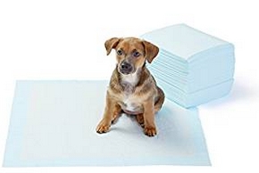 Tapis education proprete chien