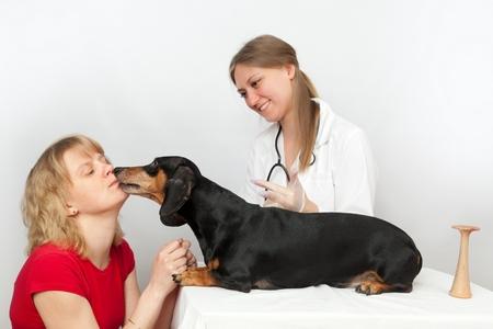 Naturopathe pour chien : comment faire son choix ?