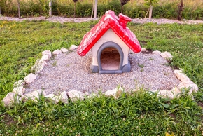 Tombe d un chien avec une maison rouge