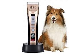 Comment tondre un chien ?  Poil long ? Des noeux ? Laver ?