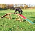 Passerelle Agility Trixie chien