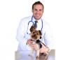 Veterinaire tarif 2