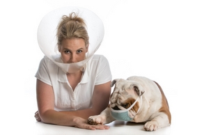 Veterinaire